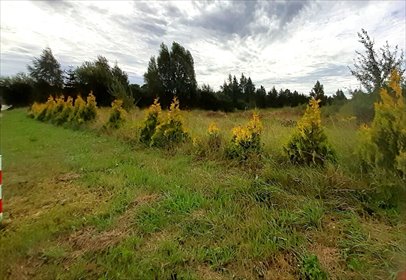 Do sprzedania działka 2613 m² w Glinczu z MPZP, media i dojazd działka Glincz, Cedrowa