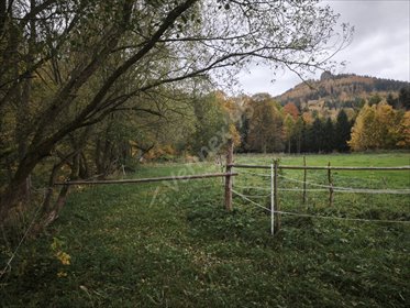Na sprzedaż działka 2440 m² z widokiem na góry w Janowicach działka Janowice Wielkie