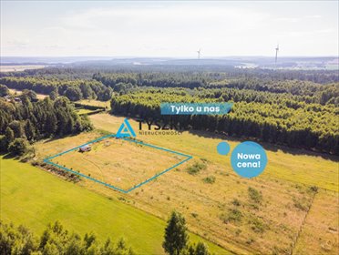 działka na sprzedaż 3001m2 działka Dąbrowa Brzezieńska