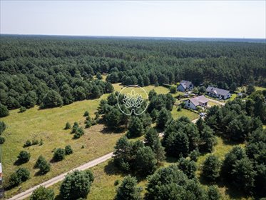 Działka 3629 m² z warunkami zabudowy w Drzewcach polecam działka Drzewce