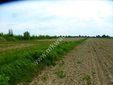 Dom na sprzedaż Piorunów 100m2 Foto 5