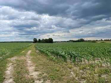działka na sprzedaż 1498m2 działka Regimin