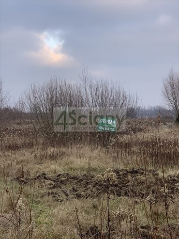 Na sprzedaż działka budowlana 5183 m² z warunkami zabudowy działka Duchnów