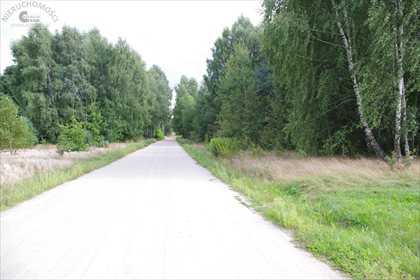 Działka rolna na sprzedaż Radoszyna 31 100m2 Foto 6