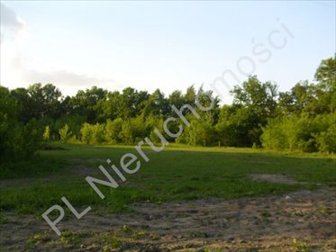 Do sprzedania działka usługowa 10 000 m² z planem zagospodarowania działka Wolica