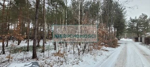 Działka 3000 m² z sosnami i planem zabudowy działka Musuły