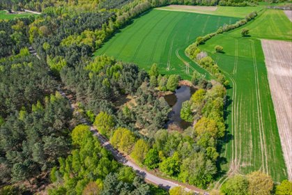 działka na sprzedaż Michów 10900 m2