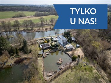 Działka z stawem i lasem, 1924 m² w Nowym Dąbiu działka Nowe Dąbie