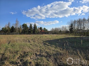 Działka 1000 m² pod dom wolnostojący w Łośiu działka Łoś