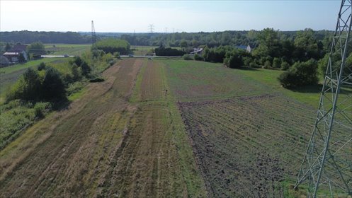 Do sprzedania działka 11 800 m² z warunkami zabudowy w Pustkowie działka Pustków