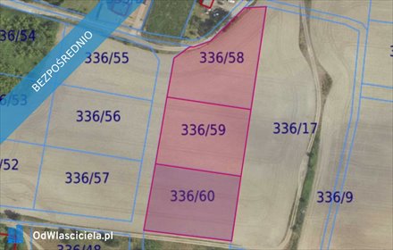 działka na sprzedaż 10132m2 działka Grabowno Wielkie