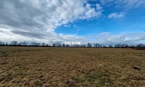 działka na sprzedaż 1650m2 działka Cholerzyn, Cholerzyn