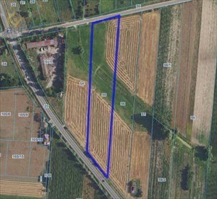 Sprzedam dużą działkę rolną 13 958 m² z dostępem asfaltowym działka Jeżówka