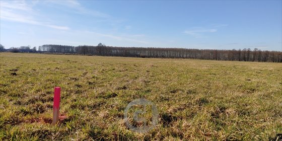 Polecam działkę 1011 m² z mediami, spokój i szybki dojazd działka Bolemin