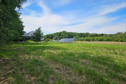 Inwestycyjna działka 4036 m² z mediami w Skierniewicach - polecam! działka Skierniewice, Kasztanowa