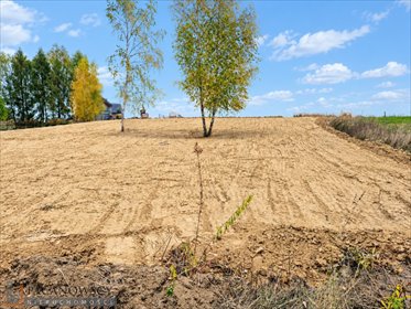 Działka budowlana 1200 m² w Narama - polecam! działka Narama