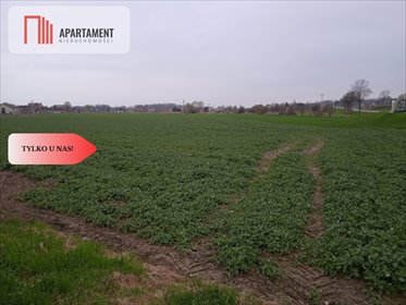 Zapraszam do obejrzenia działki 1000 m² przy ul. Długiej w Wilczkowie działka Wilczków, Długa