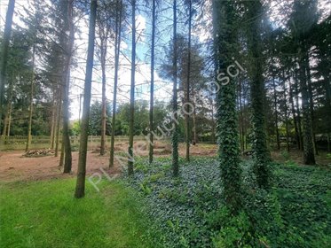 Działka budowlana 1000 m² w Jankach (media przy działce) działka Janki