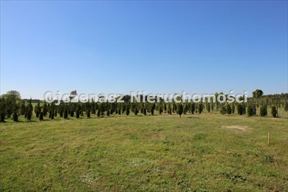 działka na sprzedaż 3160m2 działka Lipinki