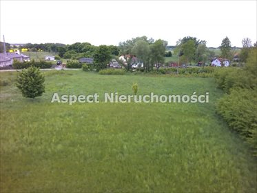 Działka budowlana na sprzedaż Królewo, Królewo, Królewo 9 426m2 Foto 3