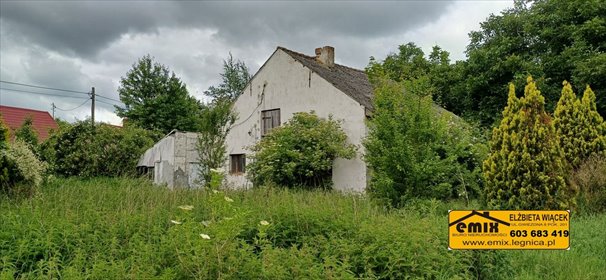 Zapraszam do zakupu działki 4607 m² z budynkiem w Wojciechowie działka Wojciechów