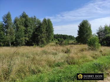 działka na sprzedaż 1180m2 działka Sobolewo