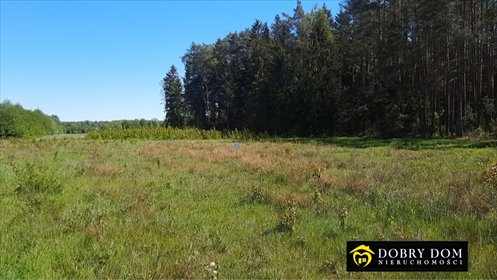 Zapraszam do zakupu działki 1231 m² w Borowikach z WZ pod dom jednorodzinny działka Borowiki
