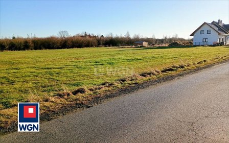 działka na sprzedaż 3647m2 działka Krępice, Krępice, Szkolna