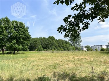 działka na sprzedaż 3689m2 działka Góra Kalwaria, Polna
