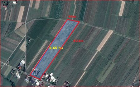 Działka 5,65 ha z budynkami i mediami - zapraszam działka Goliany