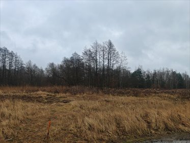 działka na sprzedaż 852m2 działka Izabelin-Dziekanówek