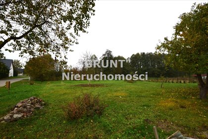 Zapraszam do zakupu działki 1394 m² z drzewami i naturalnym ogrodzeniem działka Węglewo
