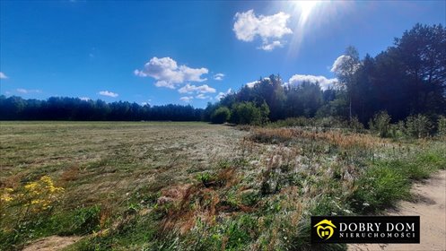 działka na sprzedaż 850m2 działka Borsukówka