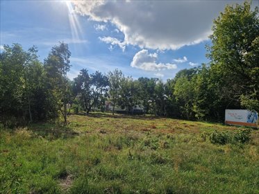 Działka 926 m² w Piotrkowie Trybunalskim - polecam! działka Piotrków Trybunalski