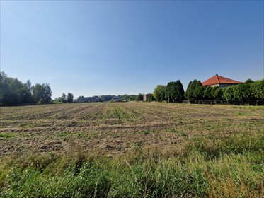 Sprzedam działkę inwestycyjną 9508 m² przy DK 44 w Mikołowie działka Mikołów, Gliwicka