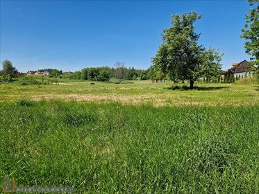 działka na sprzedaż 1560m2 działka Smardzowice