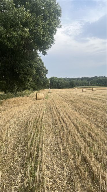 działka na sprzedaż 1800m2 działka Dobieszków, Klonowa