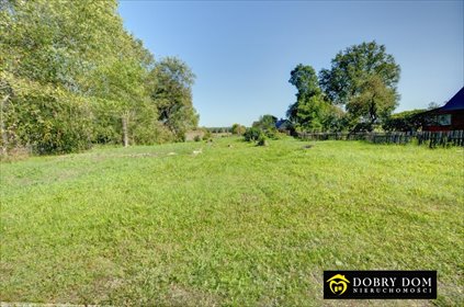 Działka 4622 m² w Przybudkach - widoki i dojazd asfaltowy działka Przybudki