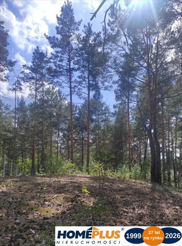 działka na sprzedaż 2663m2 działka Radzymin, Rejentówka