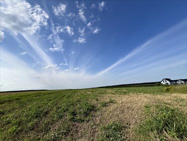 działka na sprzedaż 11000m2 działka Karczów