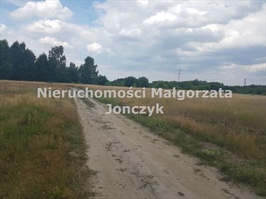 Działka inna na sprzedaż Zduńska Wola, Nowe Miasto 13 051m2 Foto 2