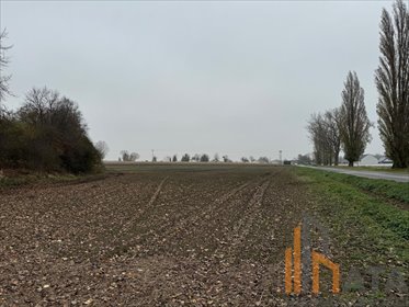 działka na sprzedaż 13000m2 działka Mirosławice