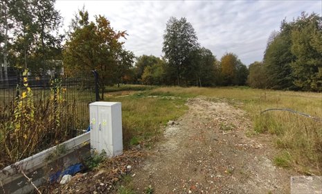 działka na sprzedaż 1950m2 działka Katowice, Podlesie, Miętowa