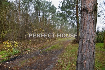 Dom na sprzedaż Wągrowiec, Durowo 119m2 Foto 7