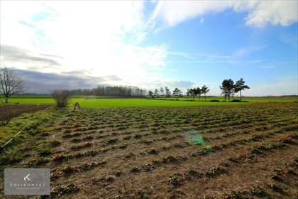 Działka inna na sprzedaż Kamienna 1 185m2 Foto 2