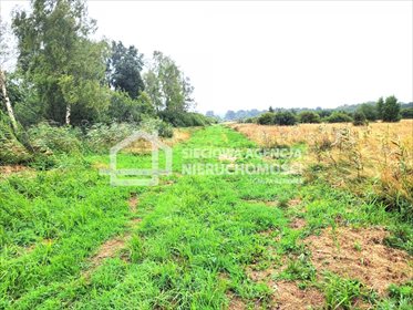 działka na sprzedaż 38600m2 działka Sasino