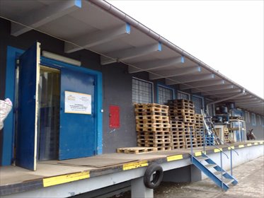 Wynajmę magazyn 40 m² z rampą w Skierniewicach lokal użytkowy Skierniewice, Henryka Sienkiewicza