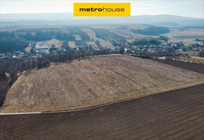 działka na sprzedaż 69600m2 działka Szalejów Dolny