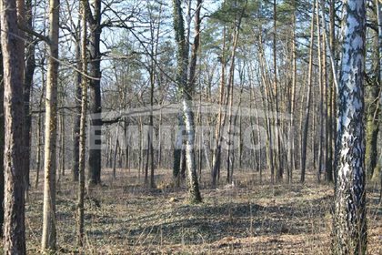 działka na sprzedaż 1200m2 działka Józefów, Podchorążych AK