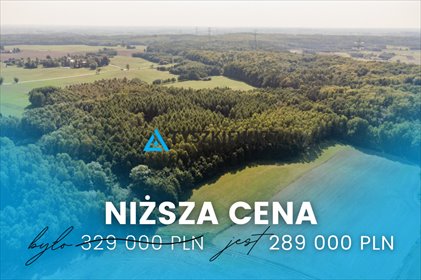 działka na sprzedaż 6500m2 działka Ełganowo, Macierzy Szkolnej